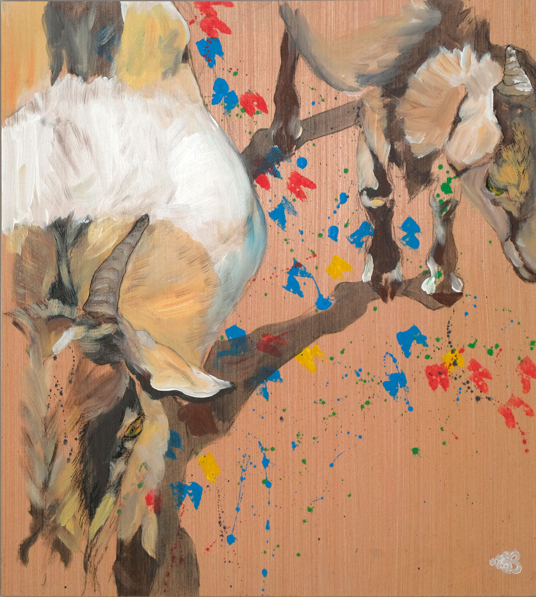 Bethany Martin - Mini Goats