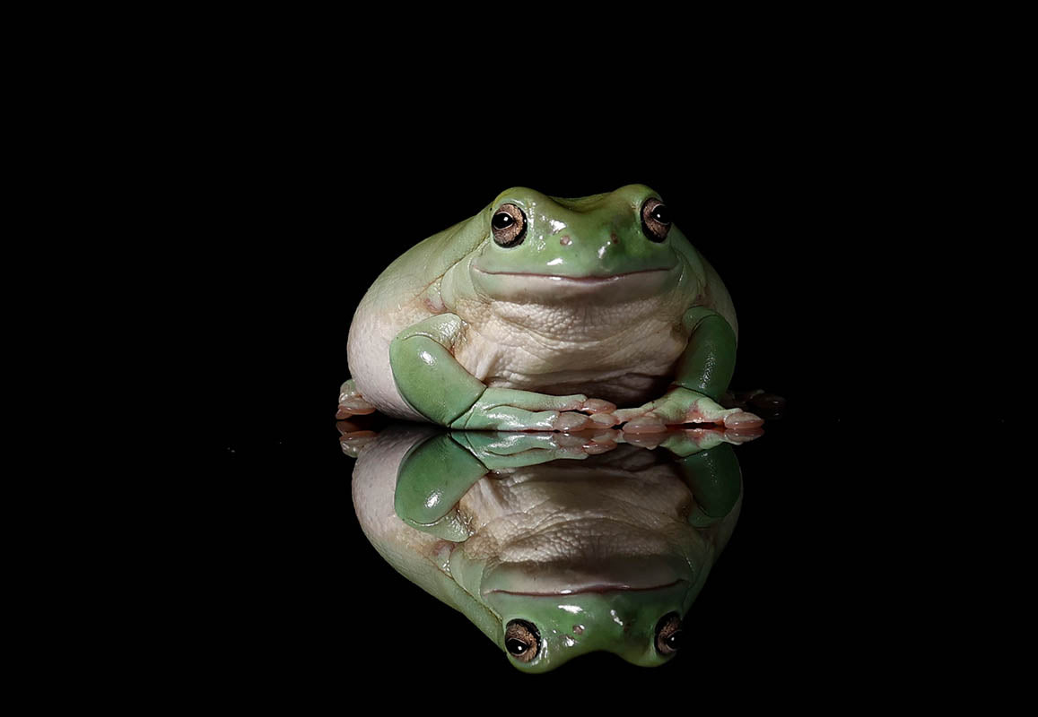 Chris Batchelor - Happy