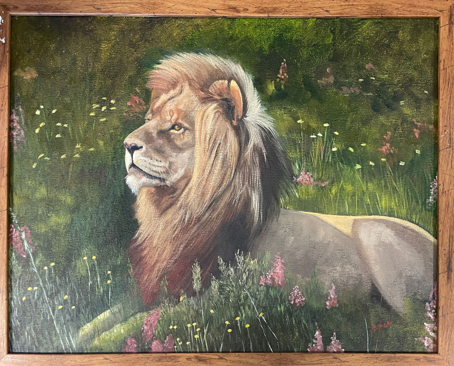 Jenny Dugmore - Enjoying nature