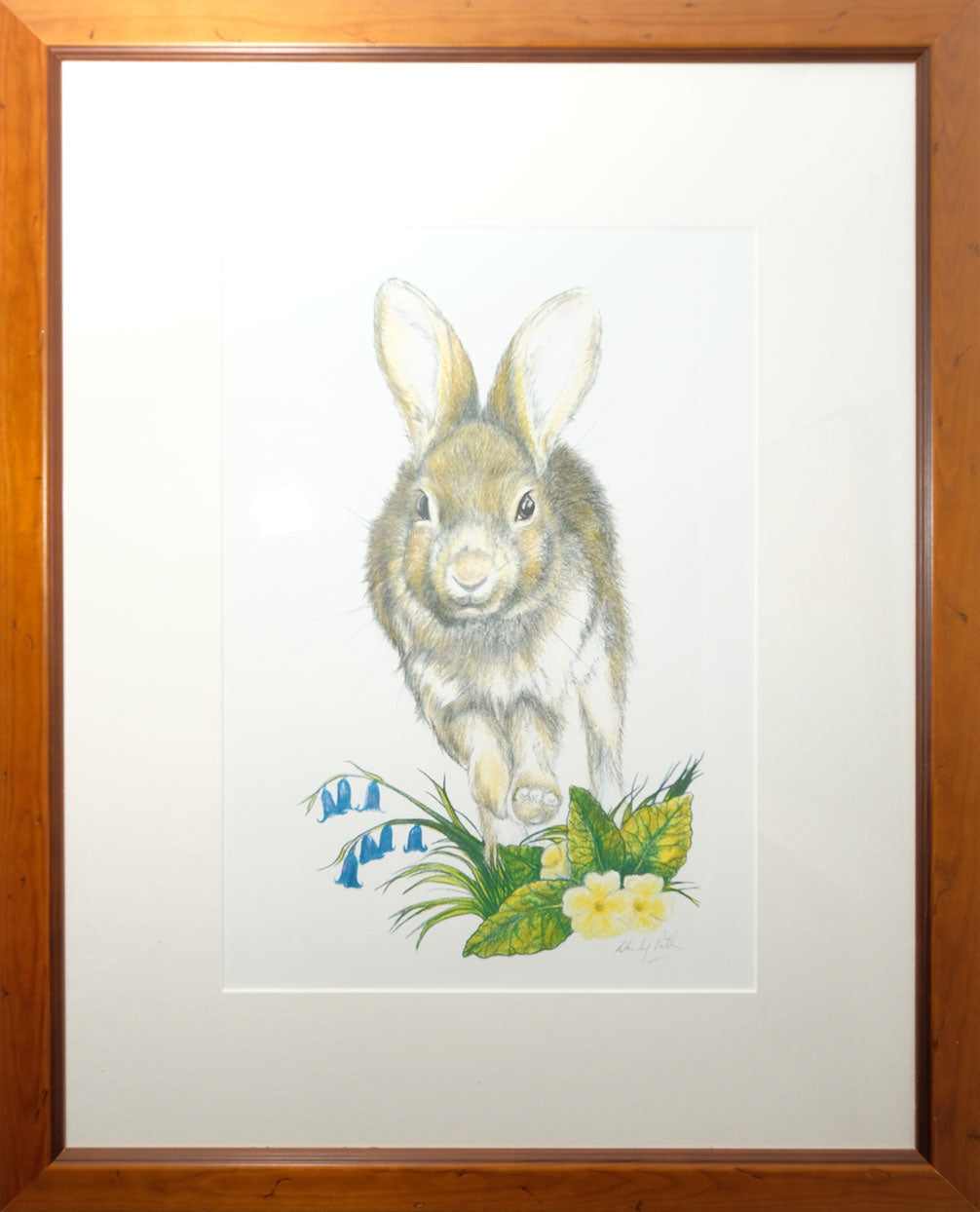 Wendy Patterson - Amber Rabbit