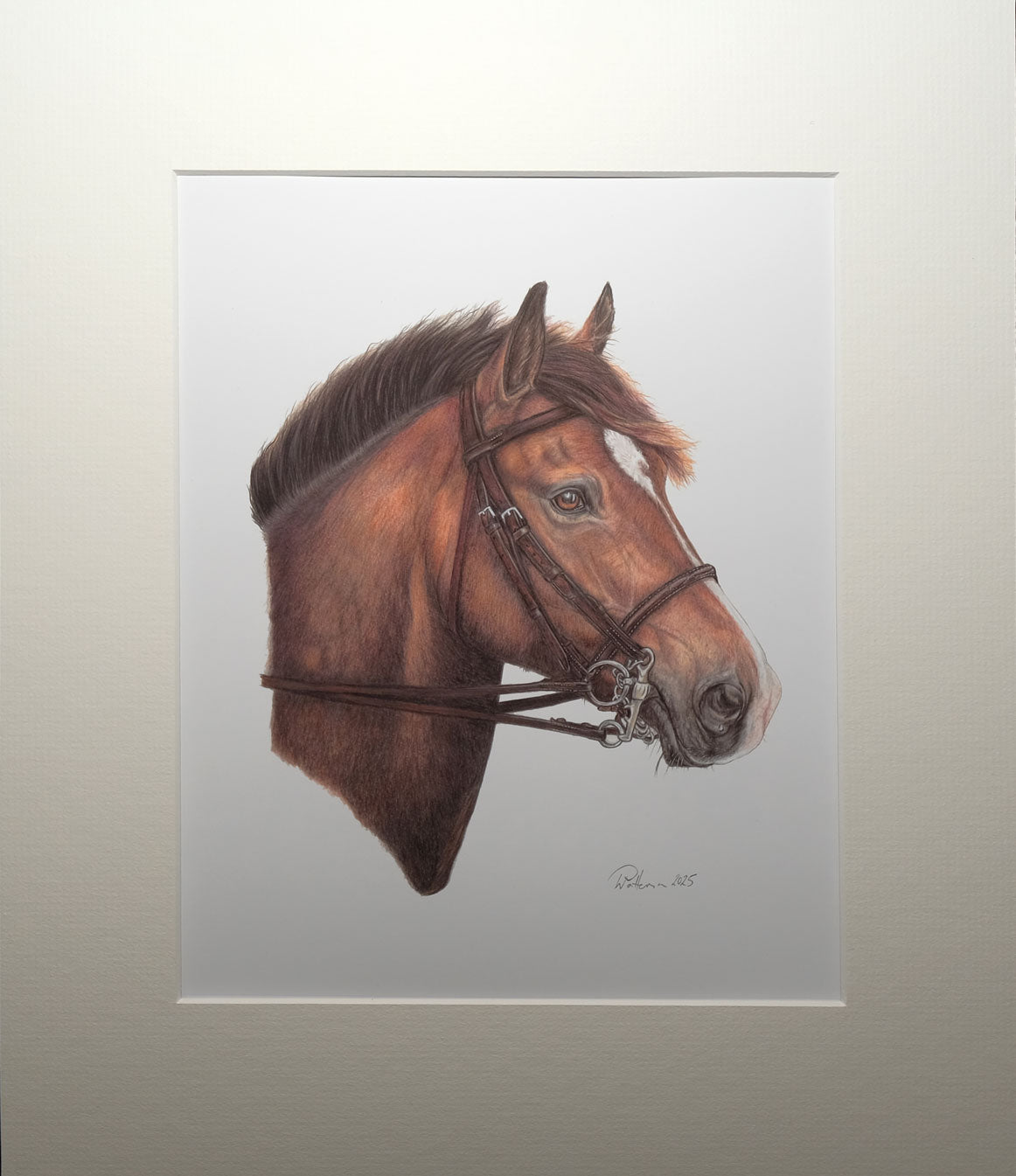 Wendy Patterson - New Forest Pony