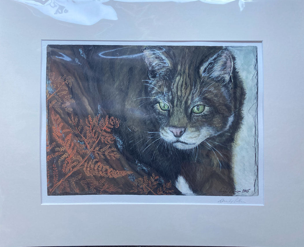 Wendy Patterson - Scottish Wildcat