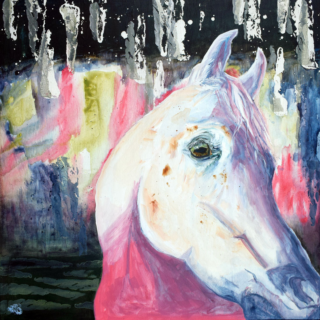Bethany Martin - Northern Lights Asil - Print