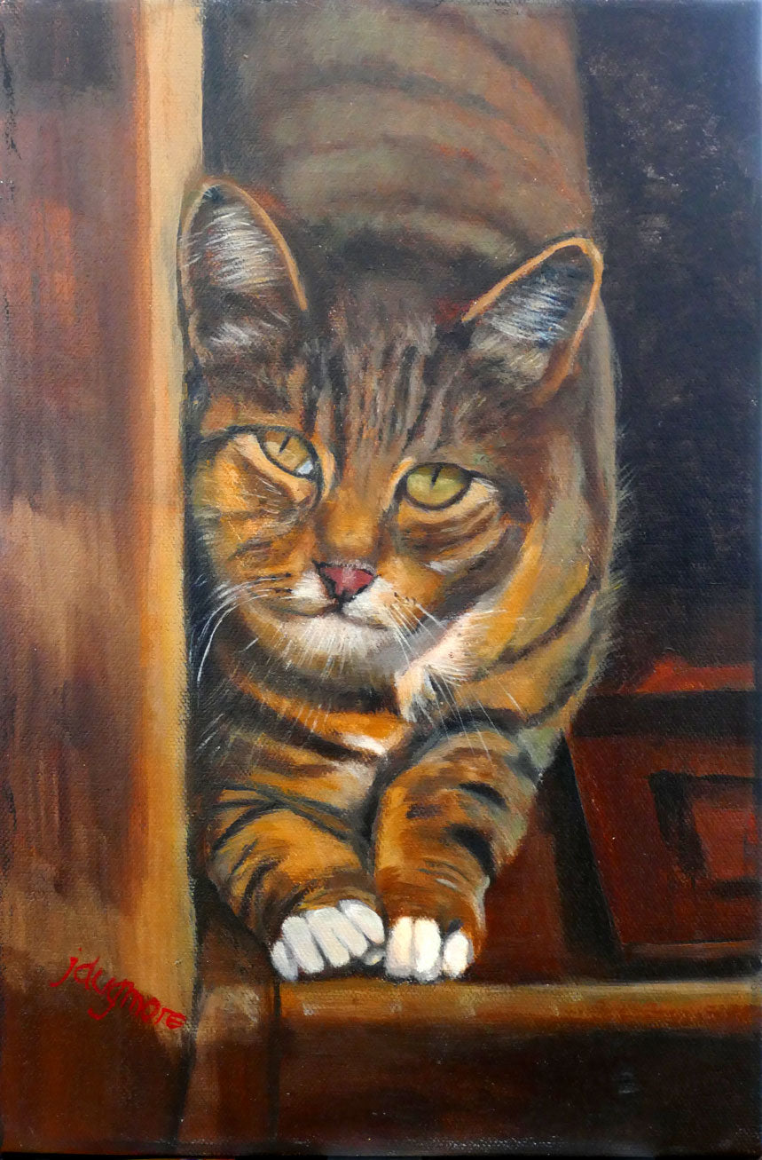Tabby cat