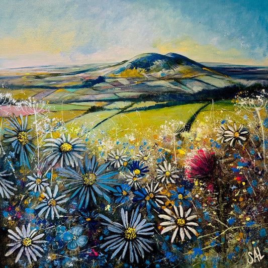 ‘Oops a Daisy’, view of the Blackhill, Earlston’ 