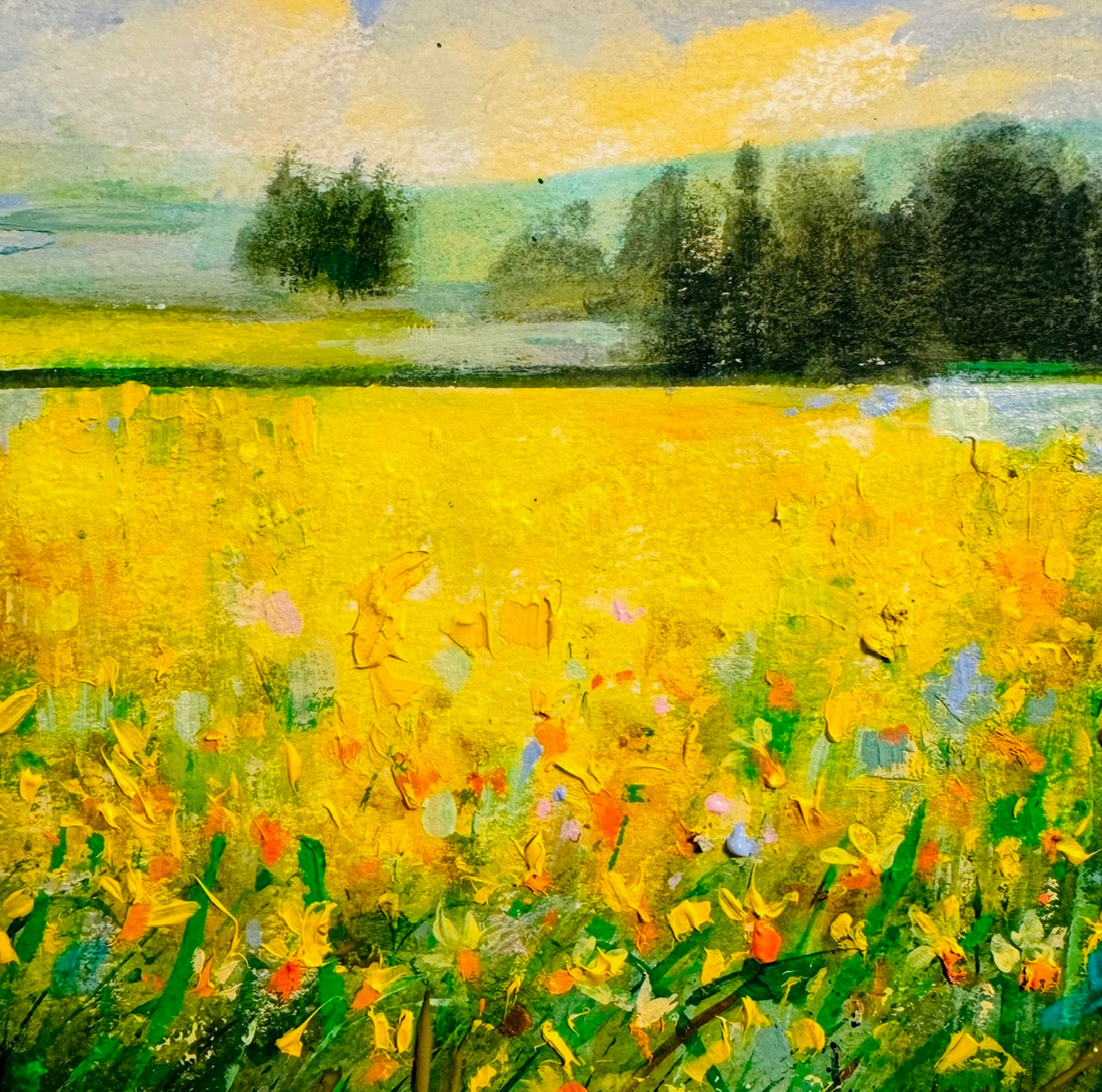 Shona Lenaghan - Daffodil Dawn